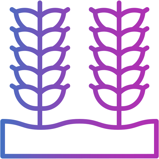 Row Crop and Grain Farming